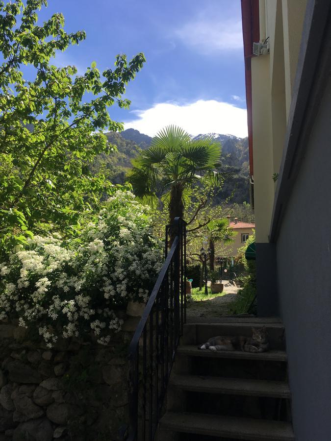 La Mirabelle-Casteil Country House Guest House Exterior photo