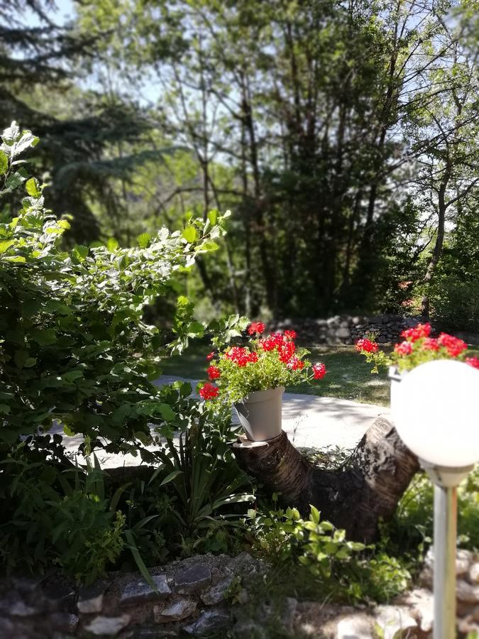 La Mirabelle-Casteil Country House Guest House Exterior photo