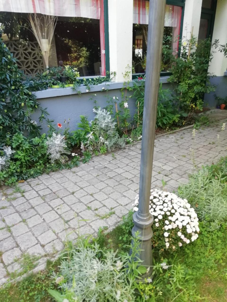 La Mirabelle-Casteil Country House Guest House Exterior photo